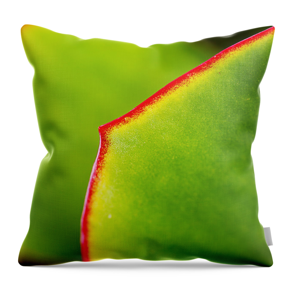 Cactus Leaves Throw Pillow featuring the photograph Cactus Leaves by Joy Watson