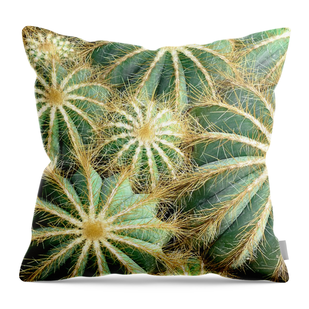 Cactus Throw Pillow featuring the digital art Cactus Nation by Rebecca Herranen