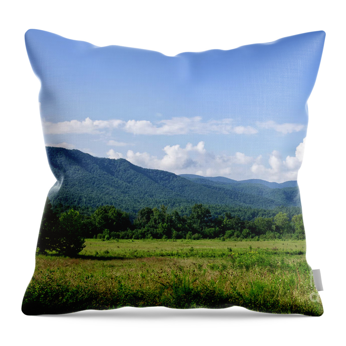 Tennessee Throw Pillow featuring the photograph Cades Cove Landscape 2 by Phil Perkins
