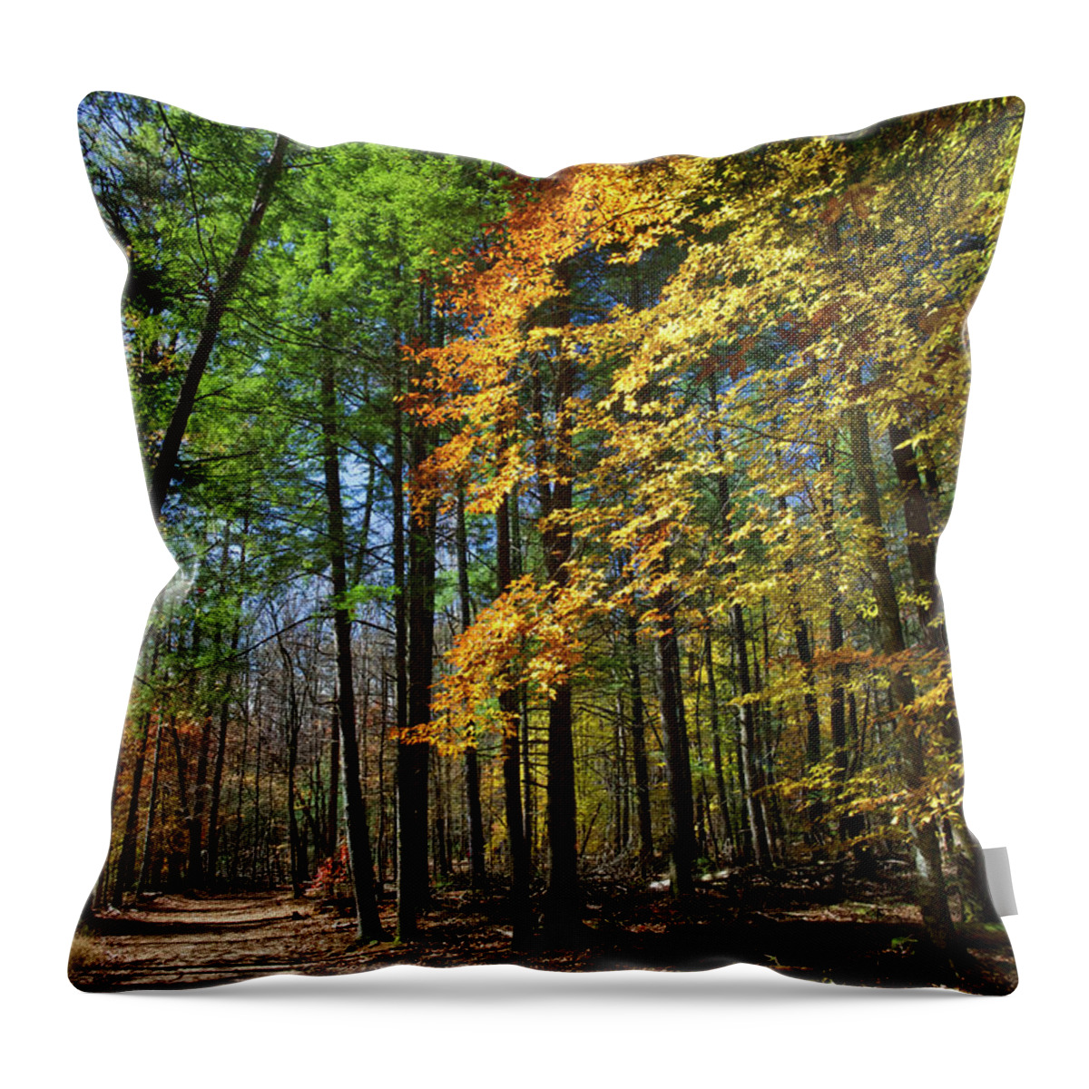 Autumn Throw Pillow featuring the photograph Cades Cove Landscape 5 by Phil Perkins