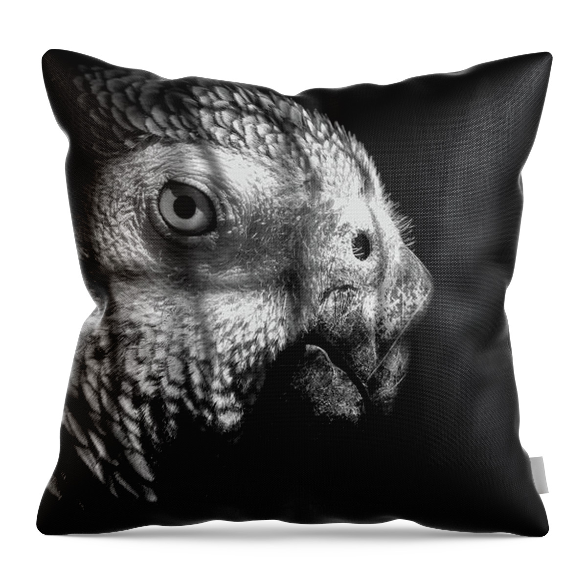 Angry Throw Pillow featuring the photograph Caged Parrot by Mike Fusaro