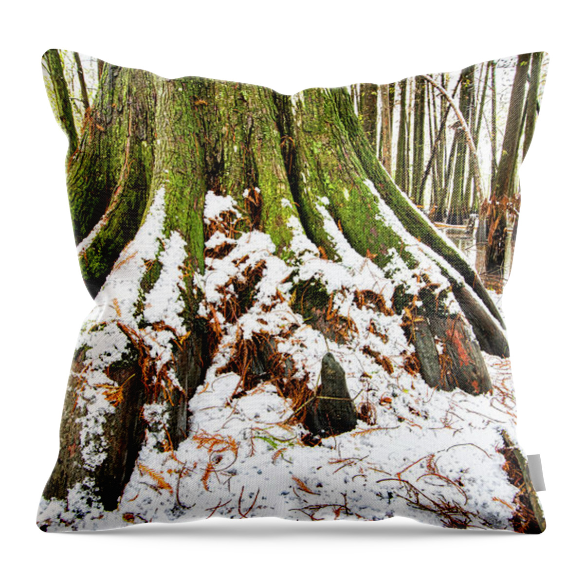 2017 Throw Pillow featuring the photograph Cajun snowfall by Andy Crawford
