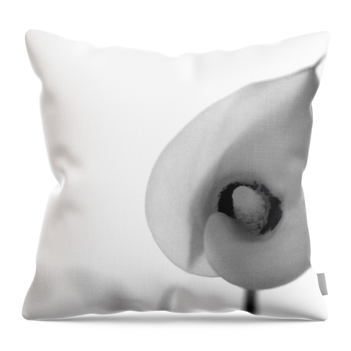 #calalily #nature #flower #interiordesign #floral #photography #fineart #art #images #print #blackandwhite Throw Pillow featuring the photograph Cala Lily by Jacquelinemari