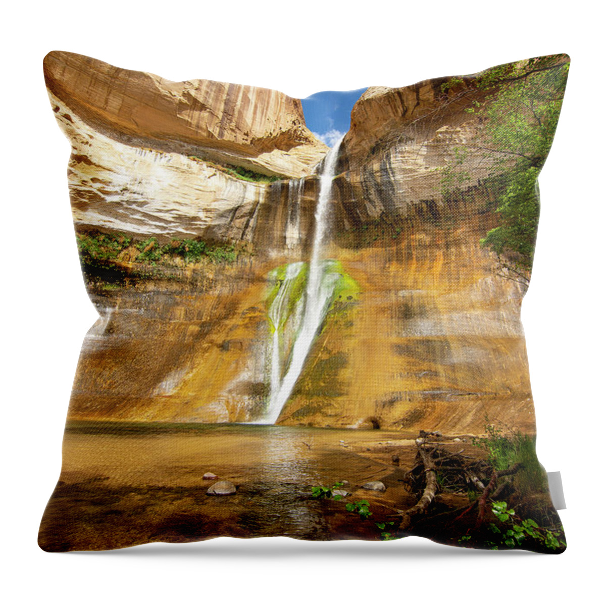 Utah Throw Pillow featuring the photograph Calf Creek Falls Vertical by Aaron Spong