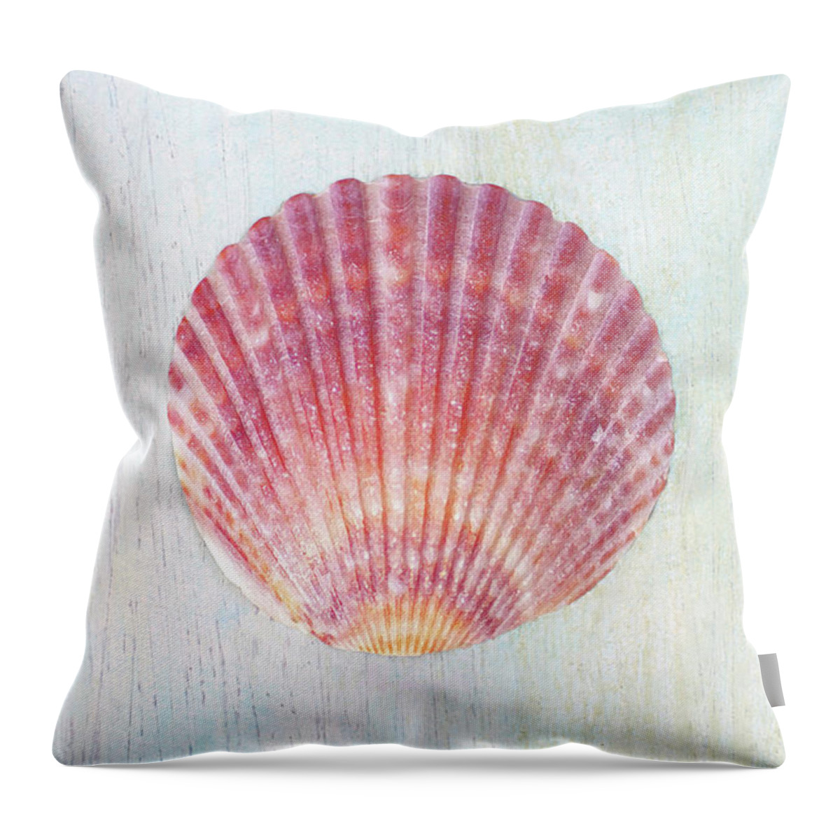 Seashells Throw Pillow featuring the photograph Calico Beauty by Kathi Mirto