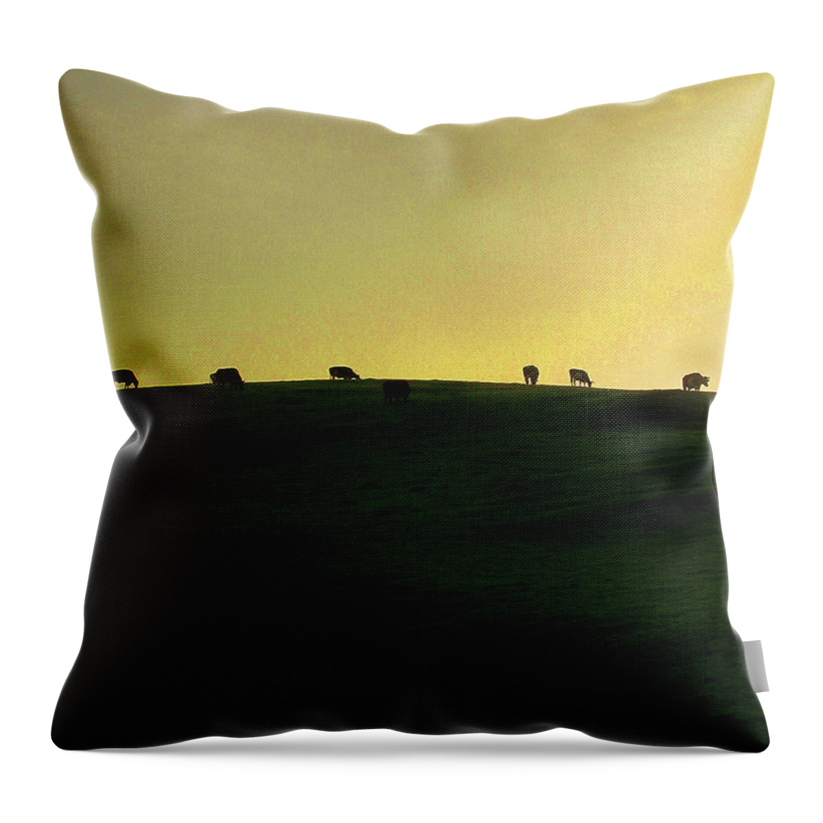 Cows Throw Pillow featuring the photograph California Coast Cows at Sunset by Wayne King
