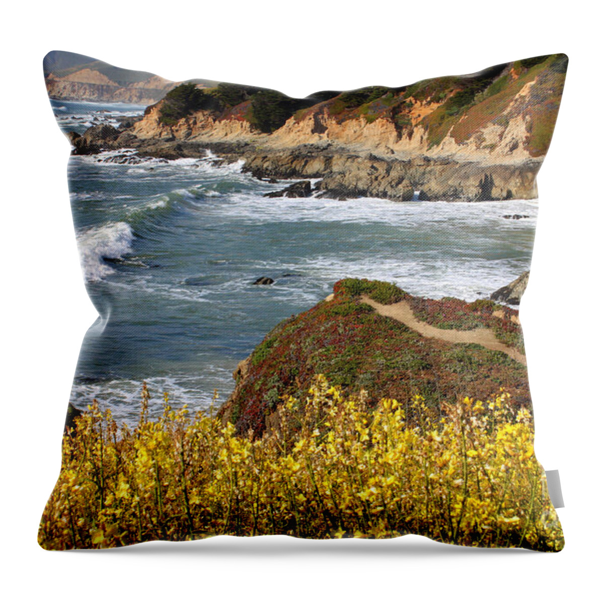 California Throw Pillow featuring the photograph California Coast Overlook by Carol Groenen
