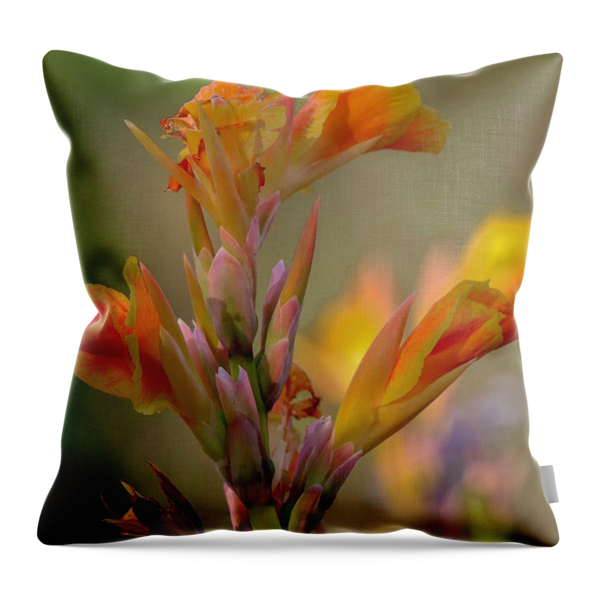 Closeup Throw Pillow featuring the photograph Canna Lily by Susan Rydberg