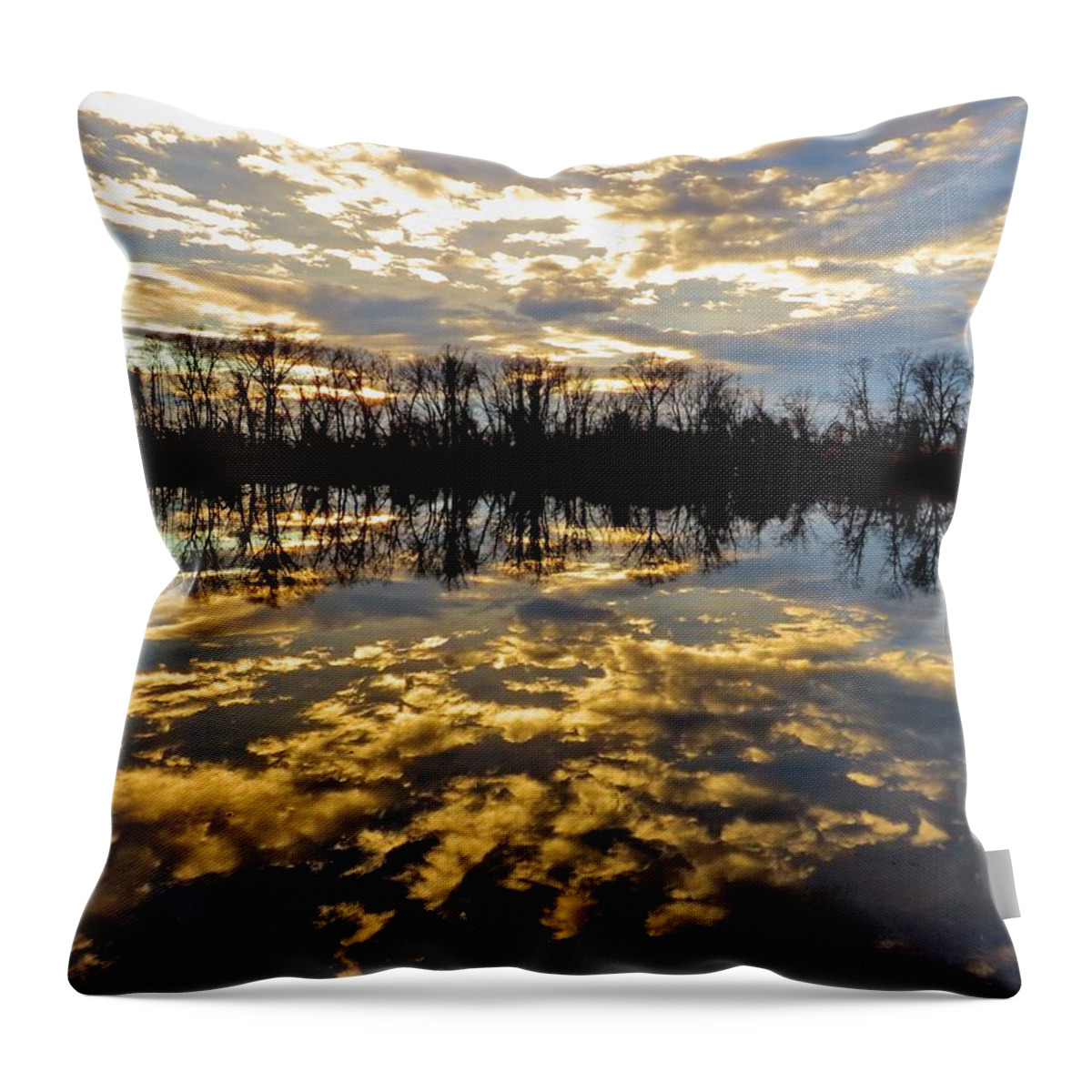 Reflections Throw Pillow featuring the photograph Calm Water Reflections by Linda Stern