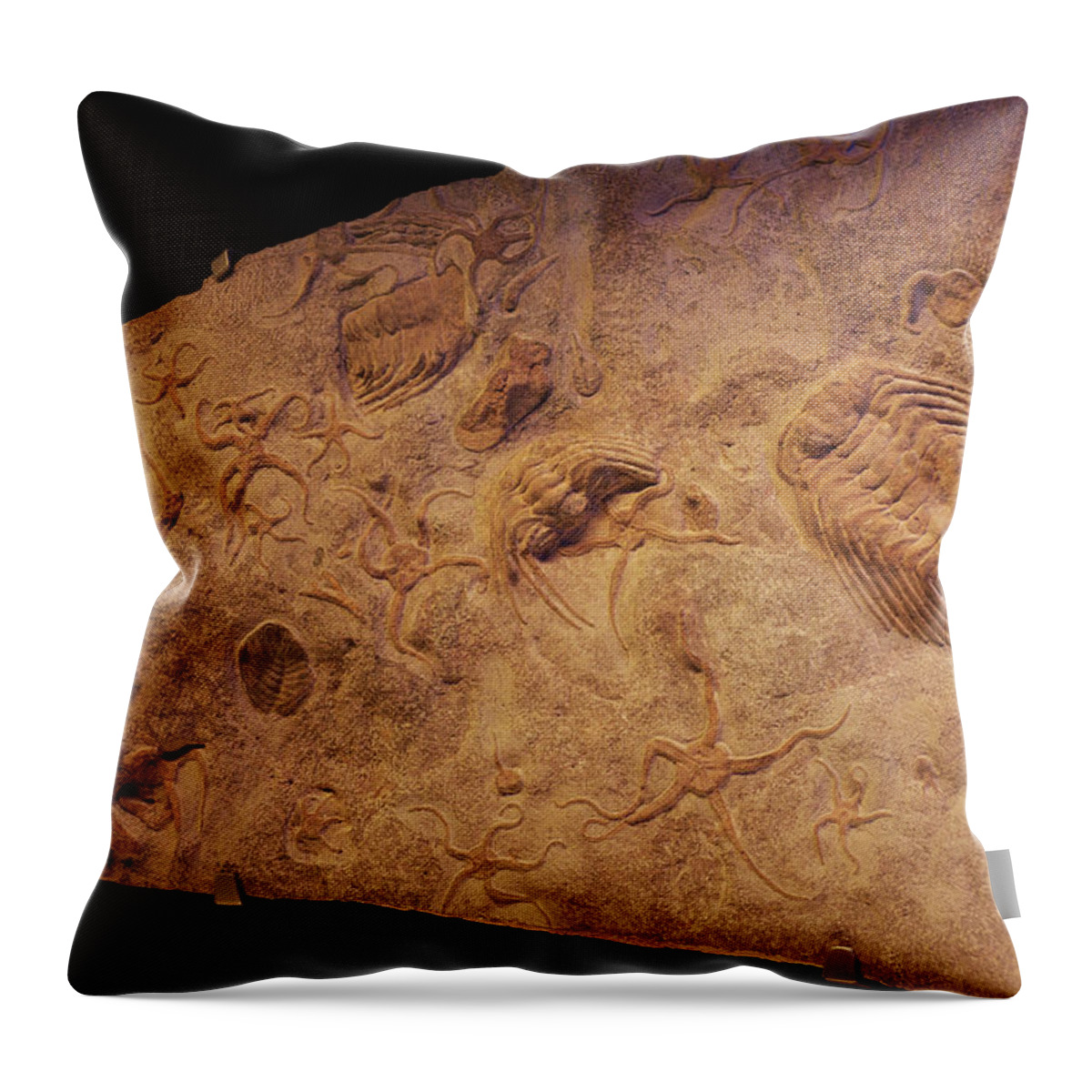 Fragment Of A Rock Throw Pillow featuring the photograph Cambrian Art by Karine GADRE