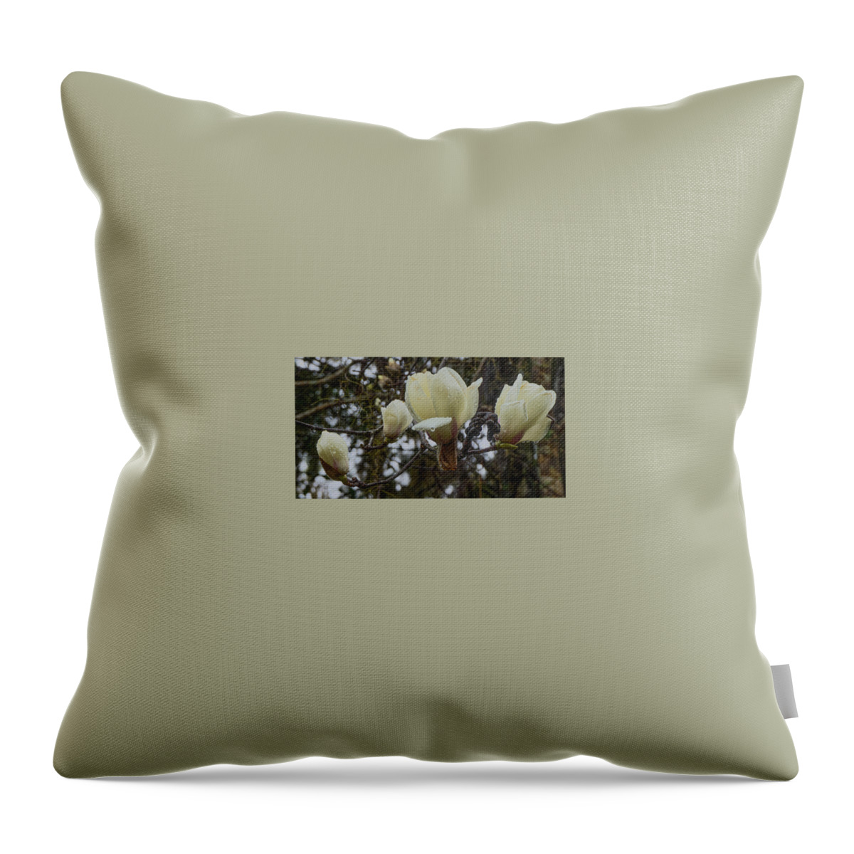 Camillias#alfredbmaclaygardens#botanicalgardens#tallahasseeflorida#usa Throw Pillow featuring the photograph Camellia Flowers by Katherine Y Mangum