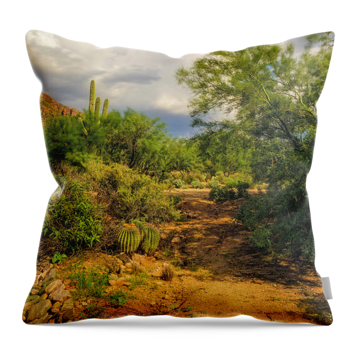 Floral Throw Pillow featuring the photograph Caminata En Sonora 24828 by Mark Myhaver