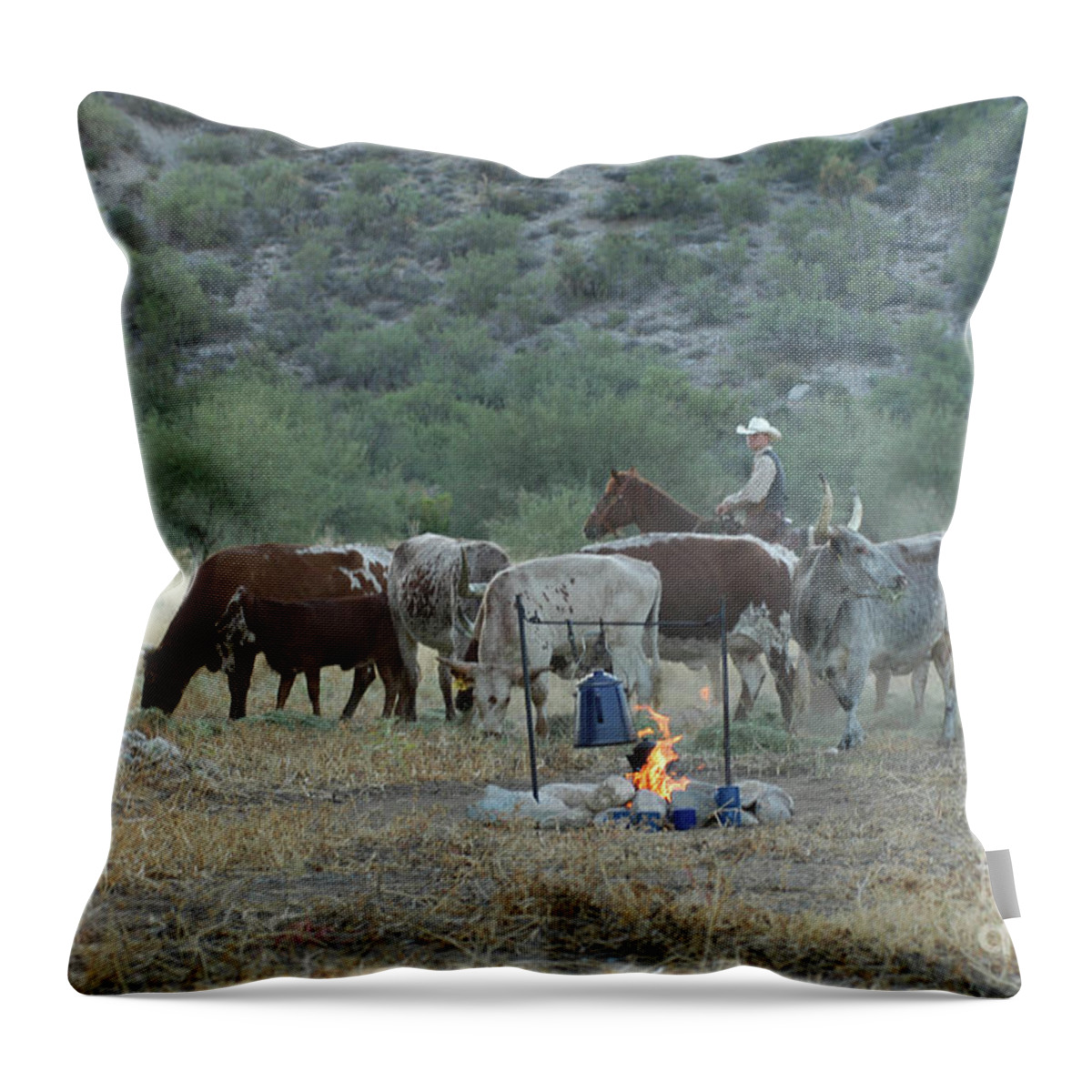 Western Throw Pillow featuring the photograph Campfire Cattle by Jody Miller
