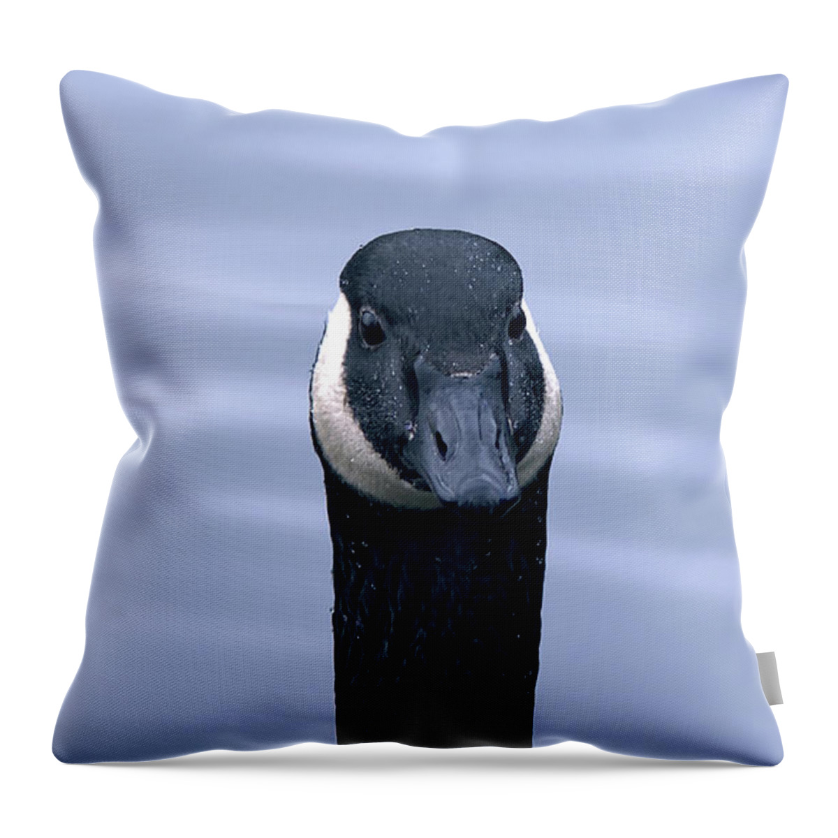 Affinity Photo Throw Pillow featuring the photograph Canada goose head shot by Pics By Tony