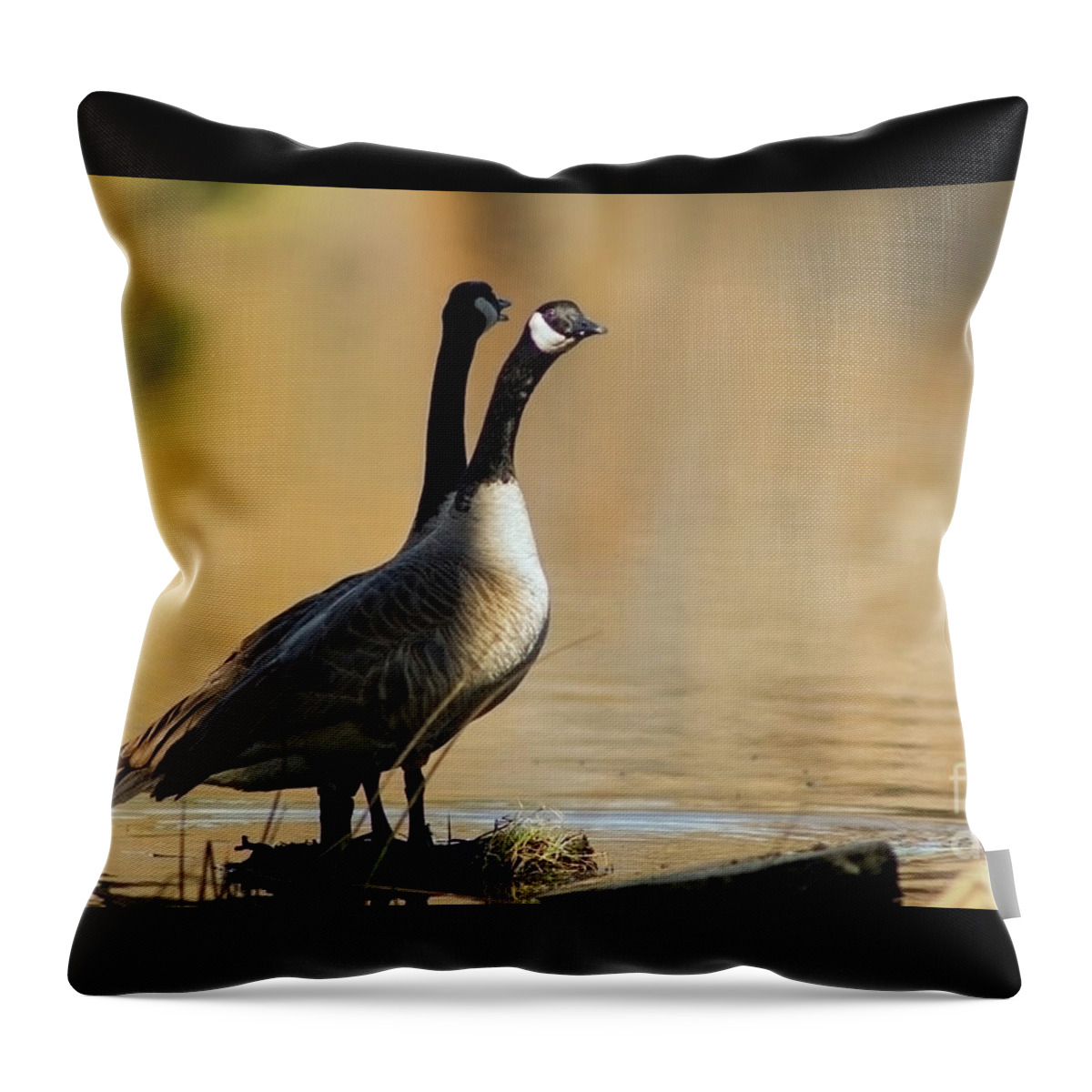 Jaws Throw Pillow featuring the photograph Canadian geese, El Dorado National Forest, California, U.S.A. by PROMedias US