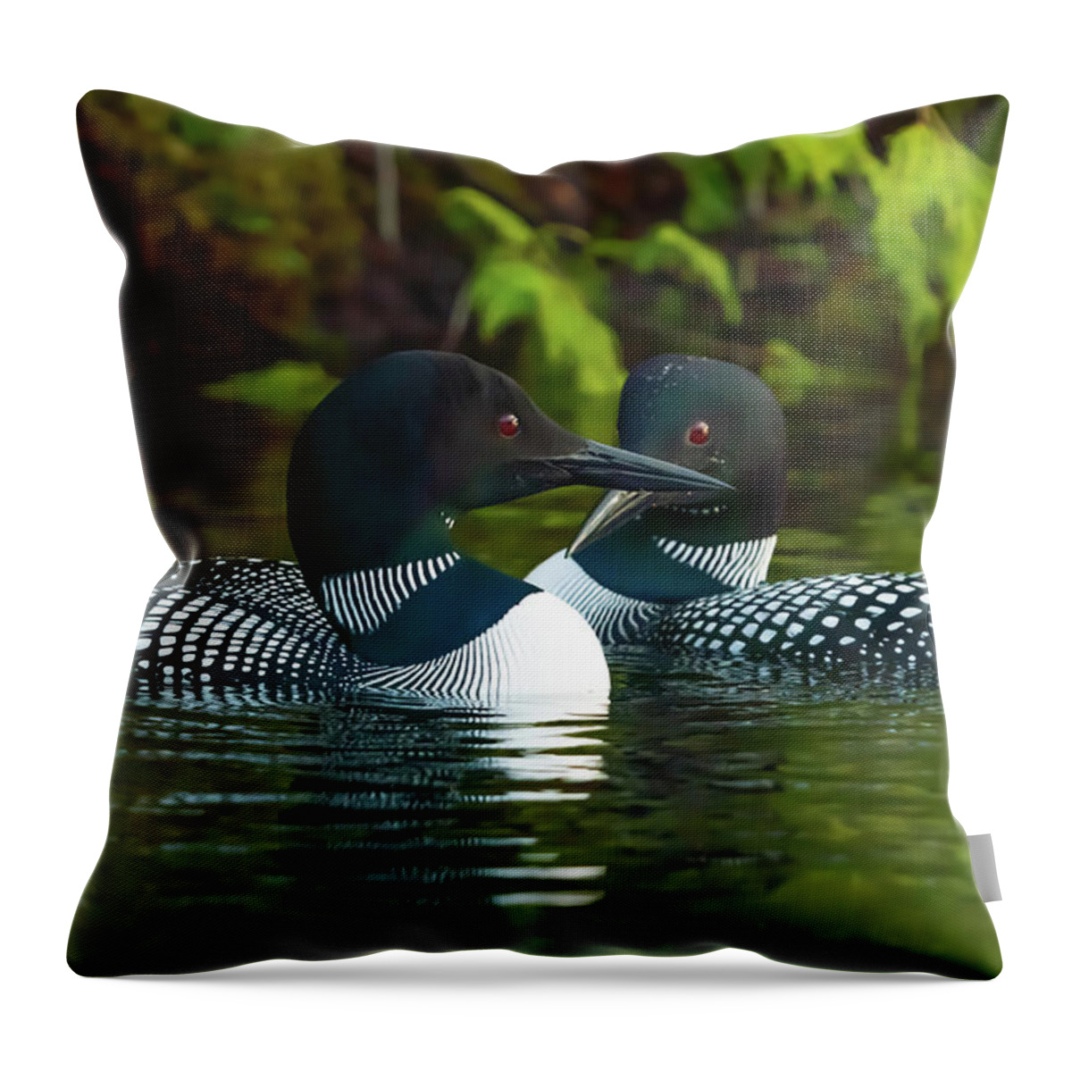 Loons Throw Pillow featuring the photograph Canadian Loons 12 by Ron Long Ltd Photography