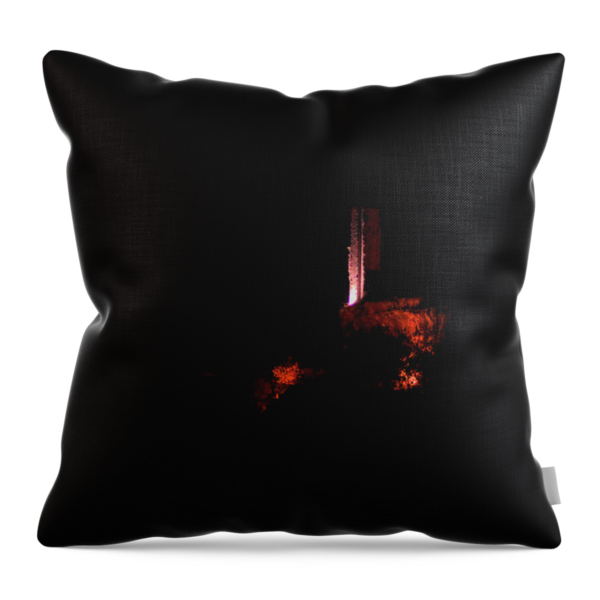 Landscape Throw Pillow featuring the photograph Candle in the Night by Karine GADRE