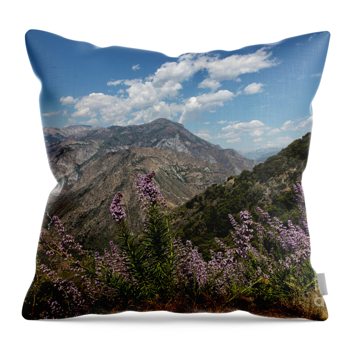 Kings Canyon Throw Pillow featuring the photograph Canyon Wildflowers by Erin Marie Davis