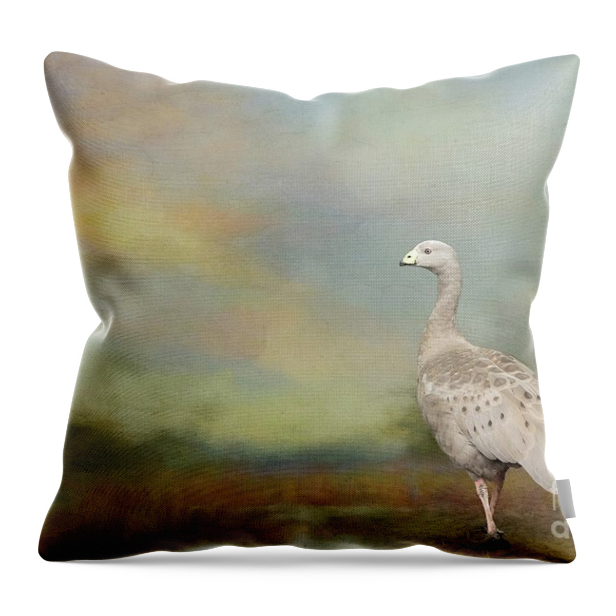 Cape Barren Goose Throw Pillow featuring the photograph Cape Barren Goose by Eva Lechner