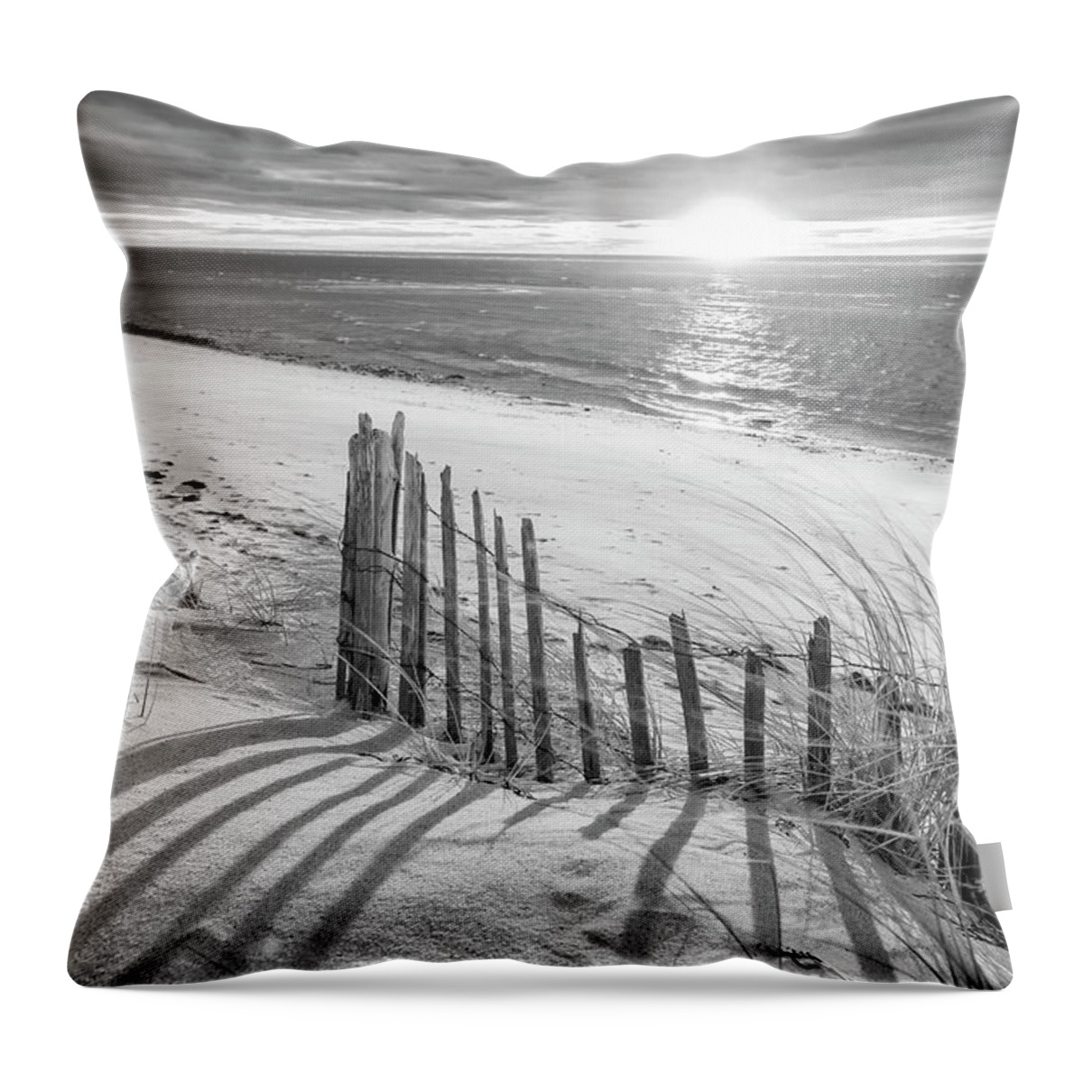 Cape Cod Beach Fence Throw Pillow featuring the photograph Cape Cod Beach Fence by Darius Aniunas