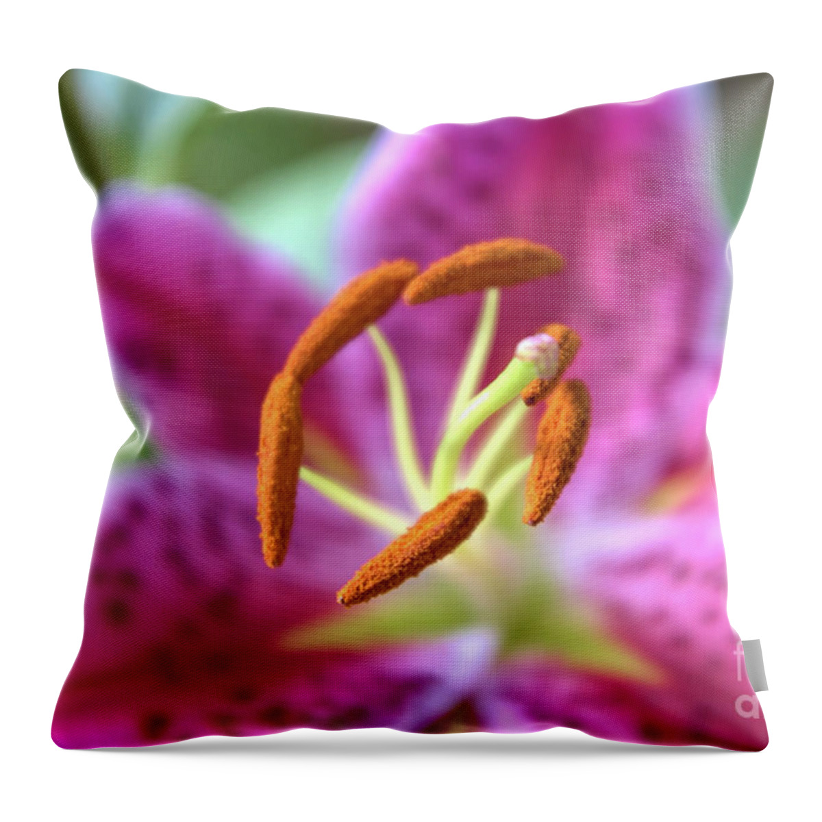Lily Throw Pillow featuring the photograph Captivating Stargazer Lily by Amy Dundon