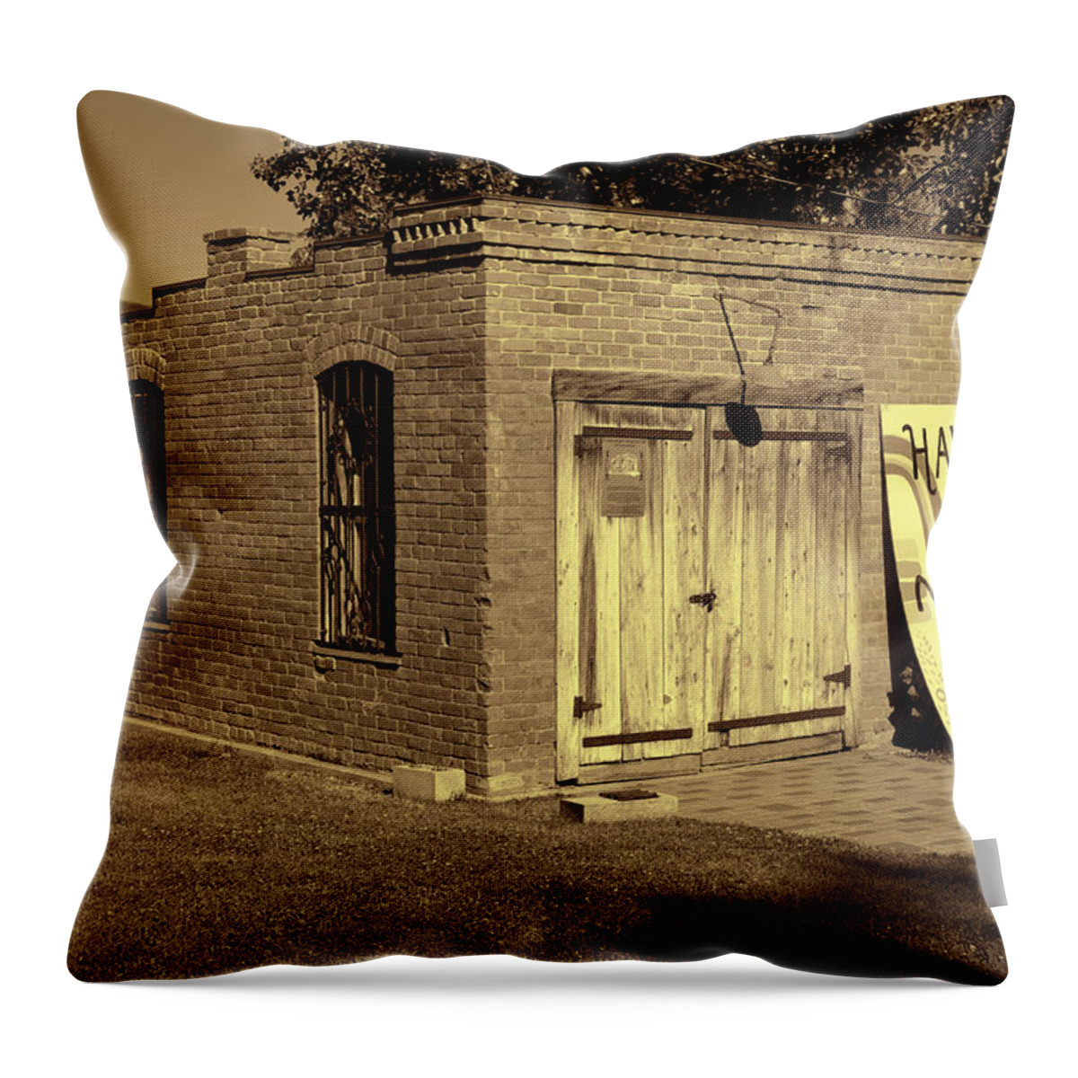 Jail Throw Pillow featuring the photograph Carbondale Jail art gallery by Cathy Anderson
