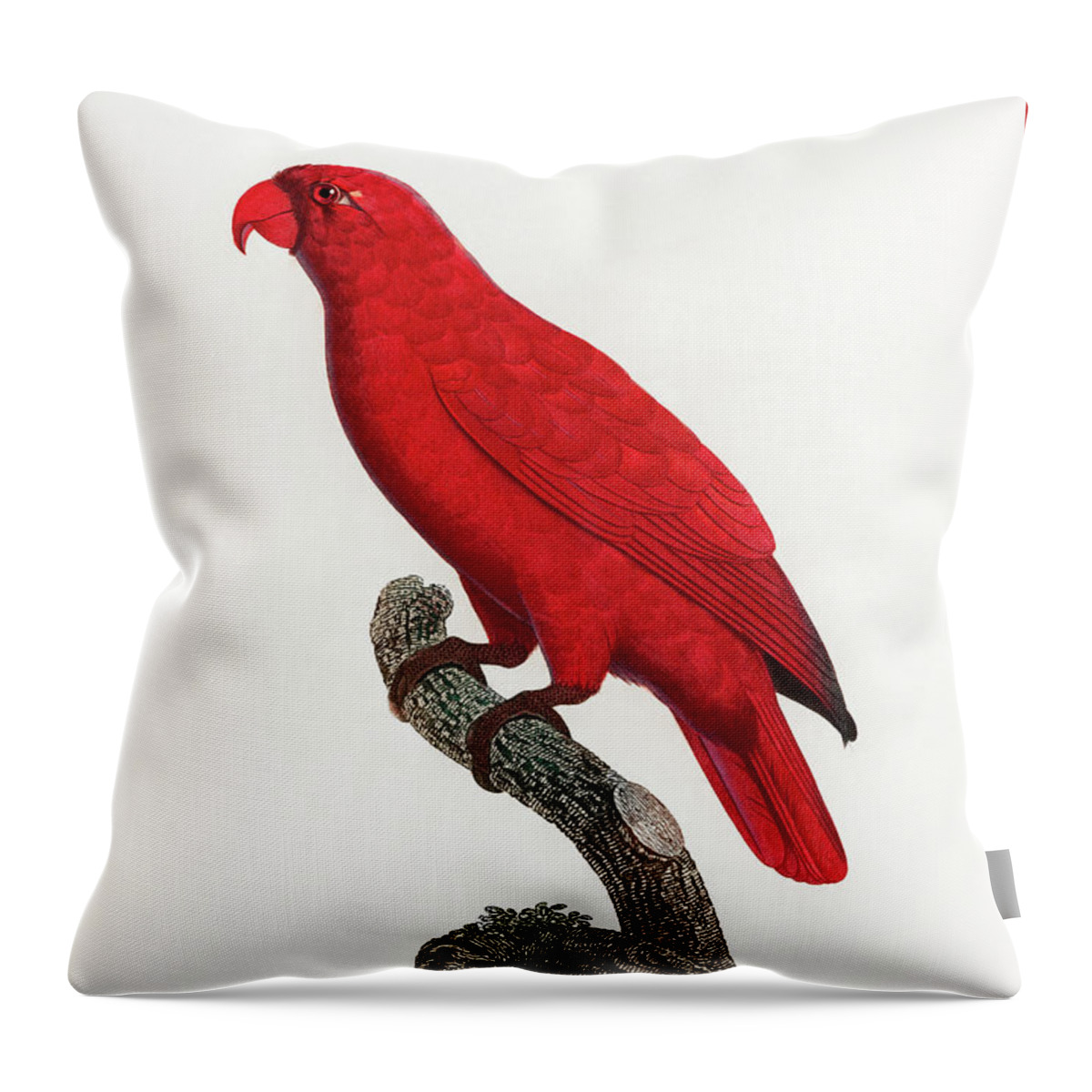 Cardinal Lory Throw Pillow featuring the mixed media Cardinal Lory by World Art Collective