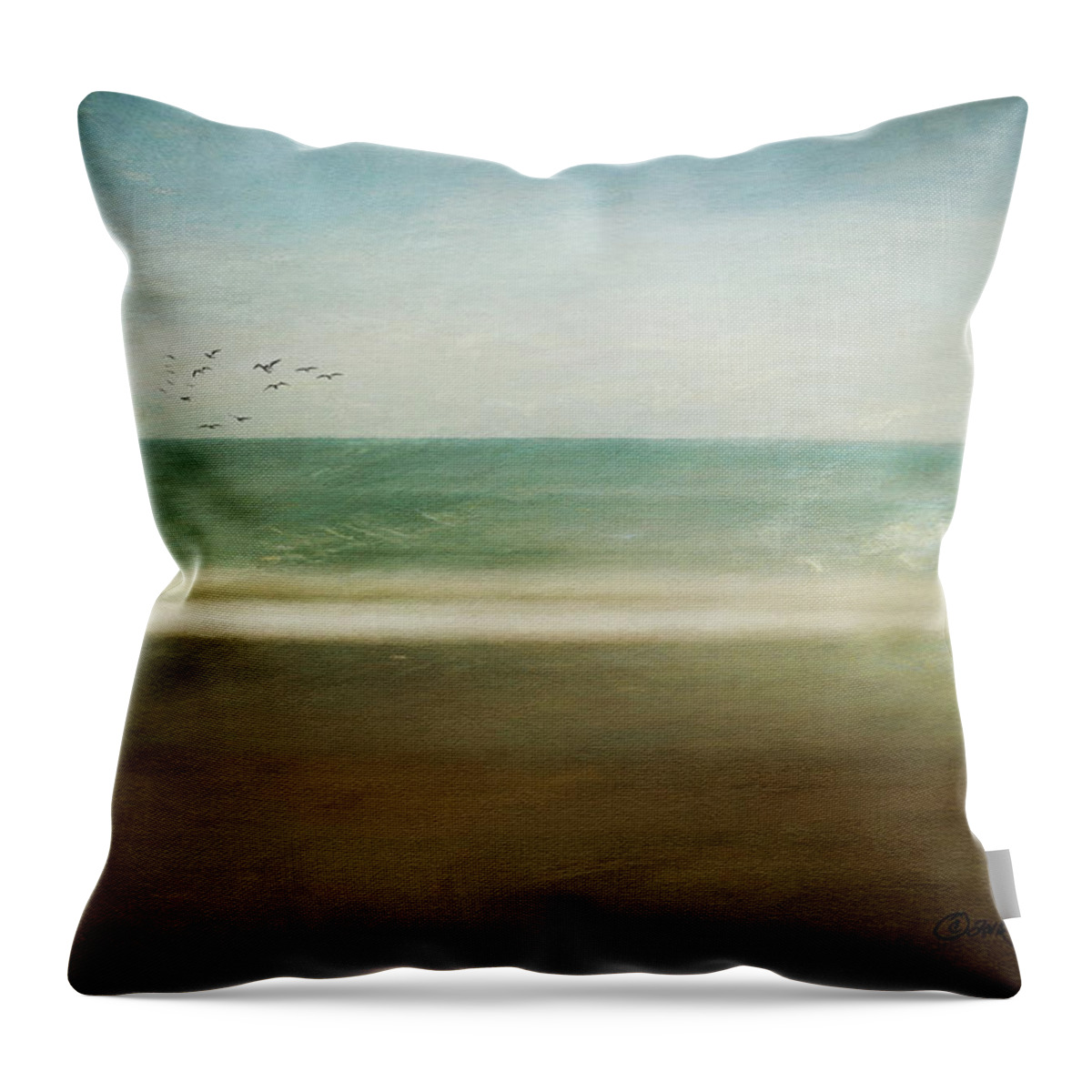 Sea Throw Pillow featuring the digital art Caress of Sea Spray by Linda Lee Hall
