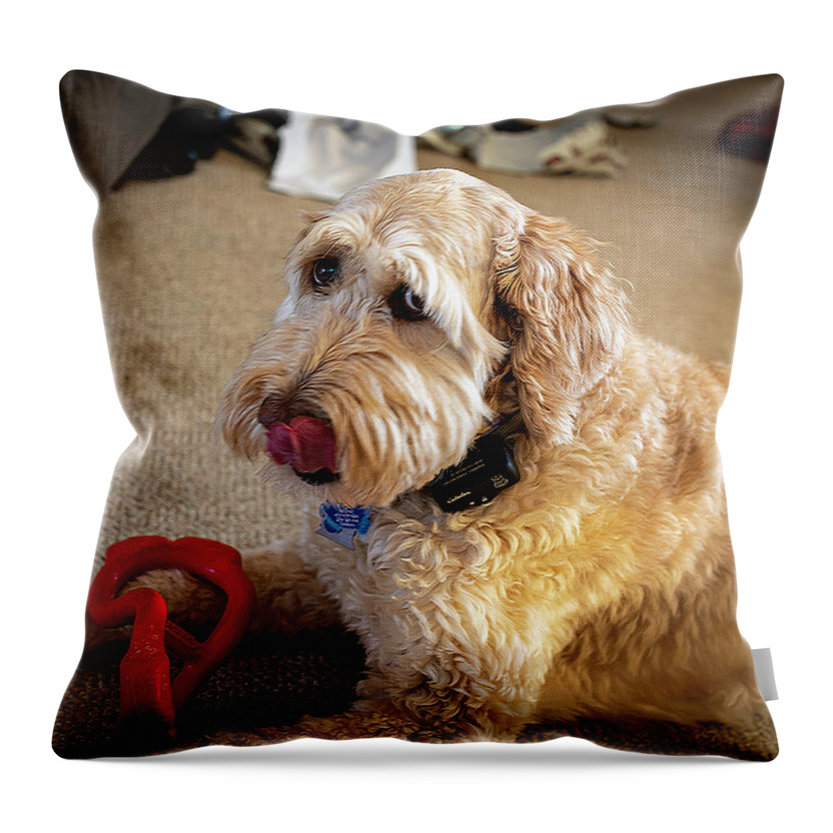 19-12-25 Throw Pillow featuring the photograph Carley and New Toy by Phil And Karen Rispin