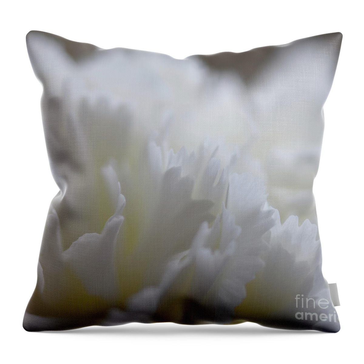 Carnation Throw Pillow featuring the photograph Carnation Whisper by Yvonne Johnstone