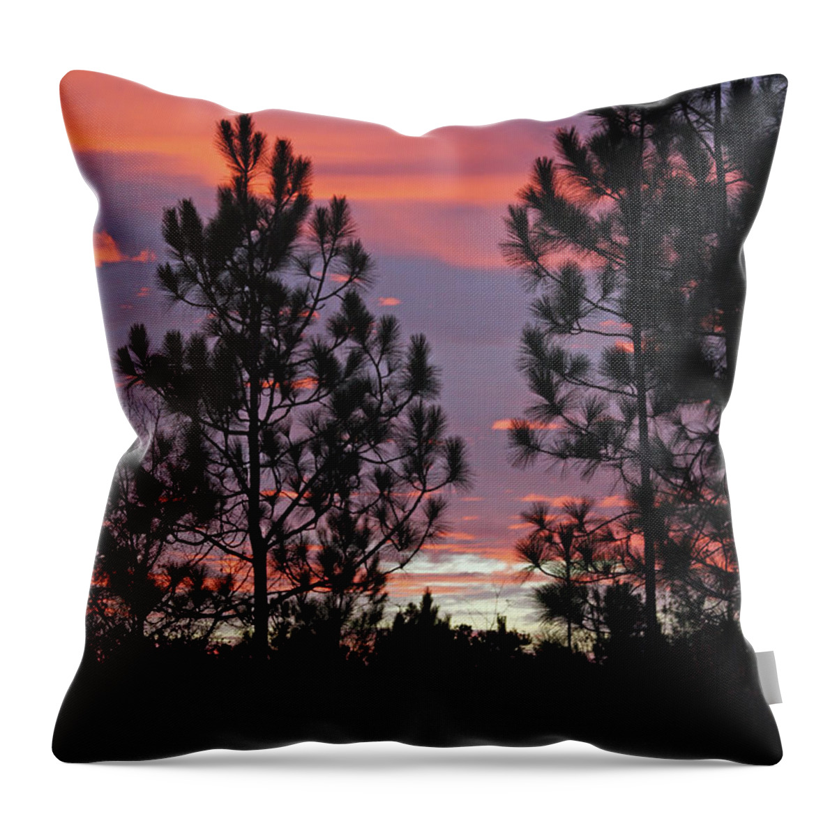 Sunset Throw Pillow featuring the photograph Carolina Sunset 4592 by Carolyn Stagger Cokley