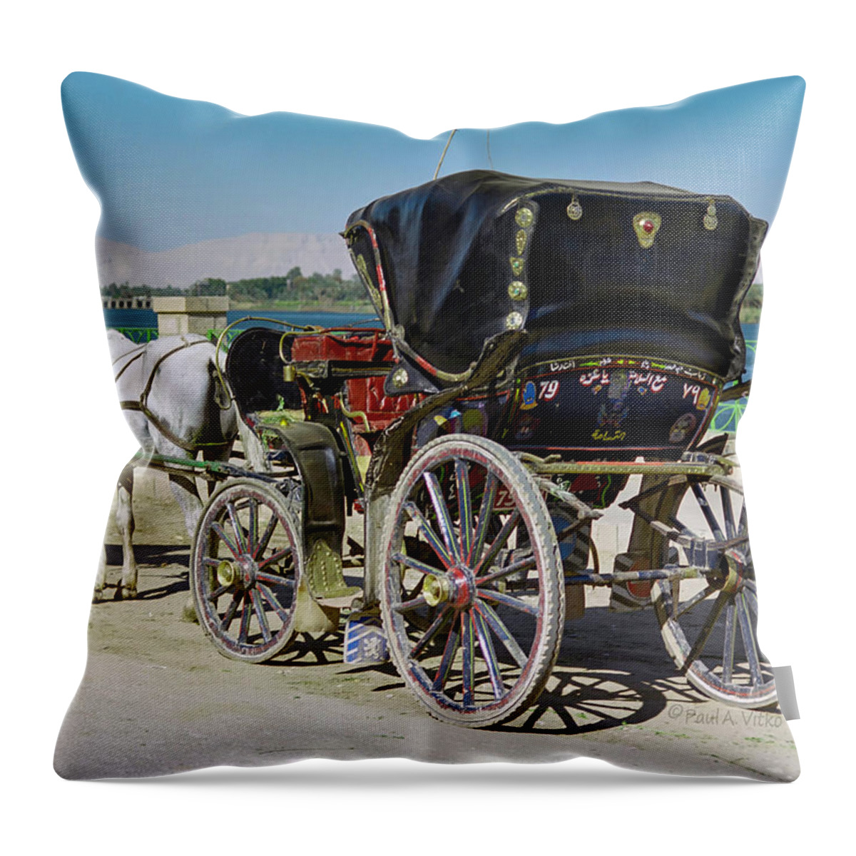 Egypt Throw Pillow featuring the photograph Carriage driver down cast by Paul Vitko