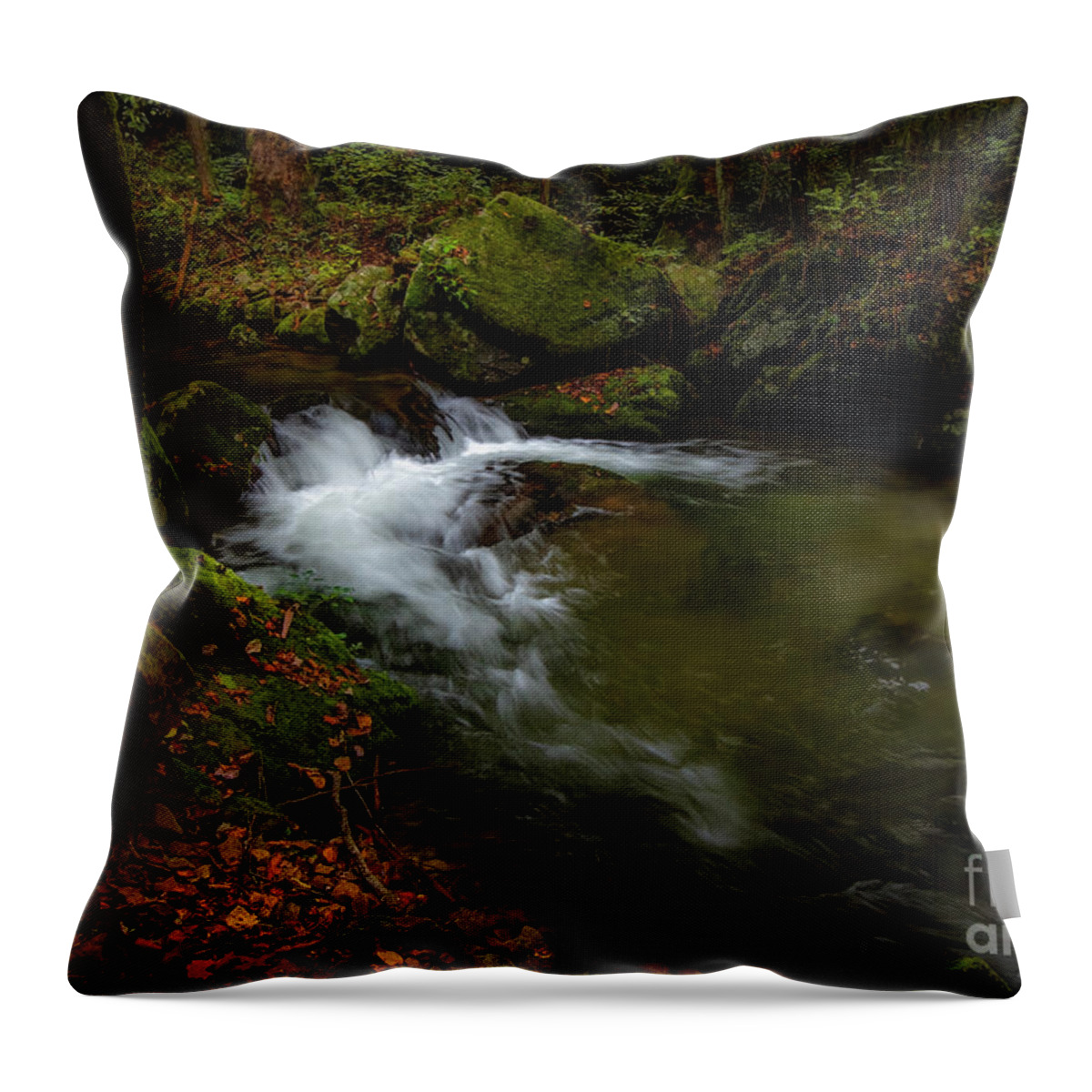Waterfall Throw Pillow featuring the photograph Cascade at Rocky Fork II by Shelia Hunt