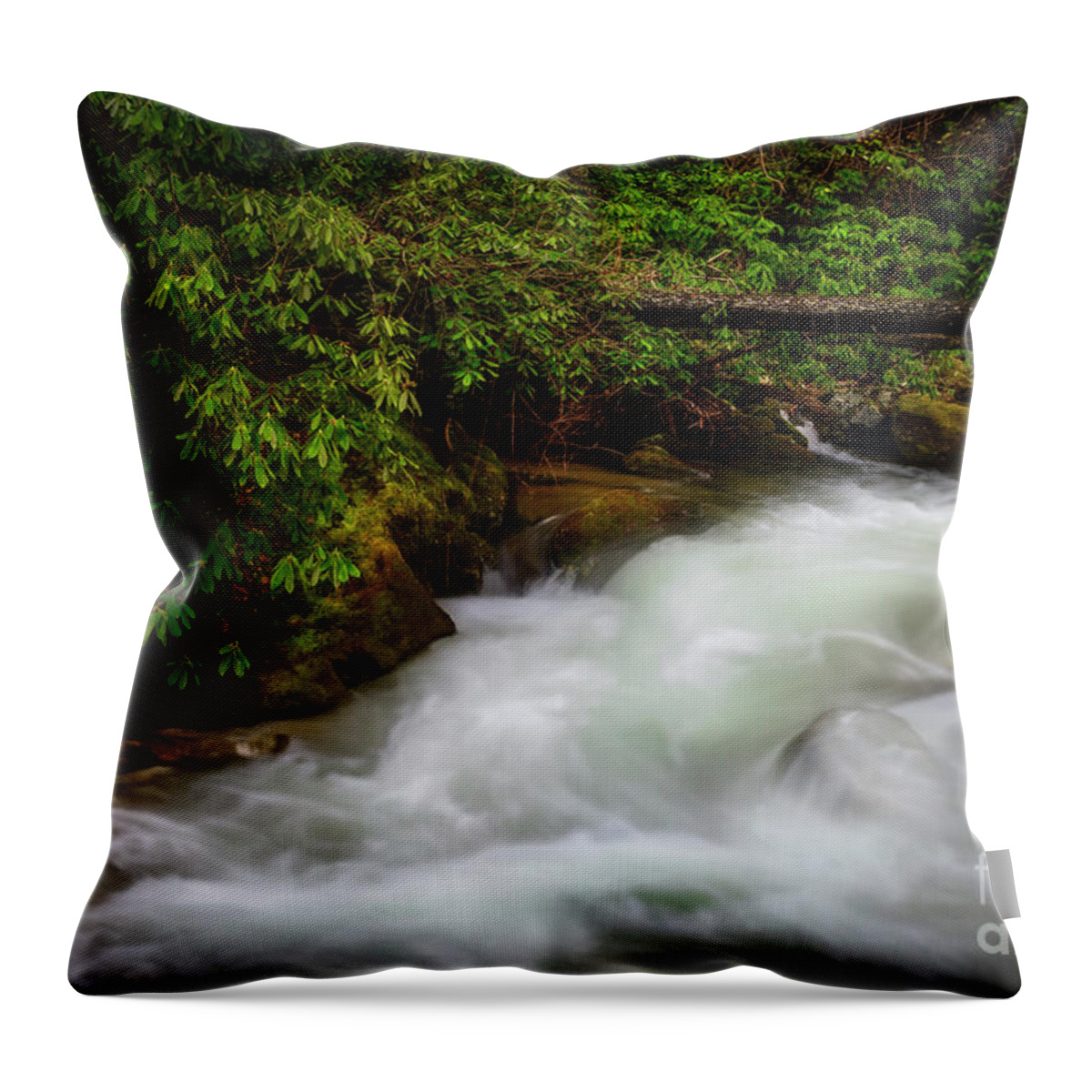 Cascade Throw Pillow featuring the photograph Cascade in the Blue Ridge Mountains by Shelia Hunt