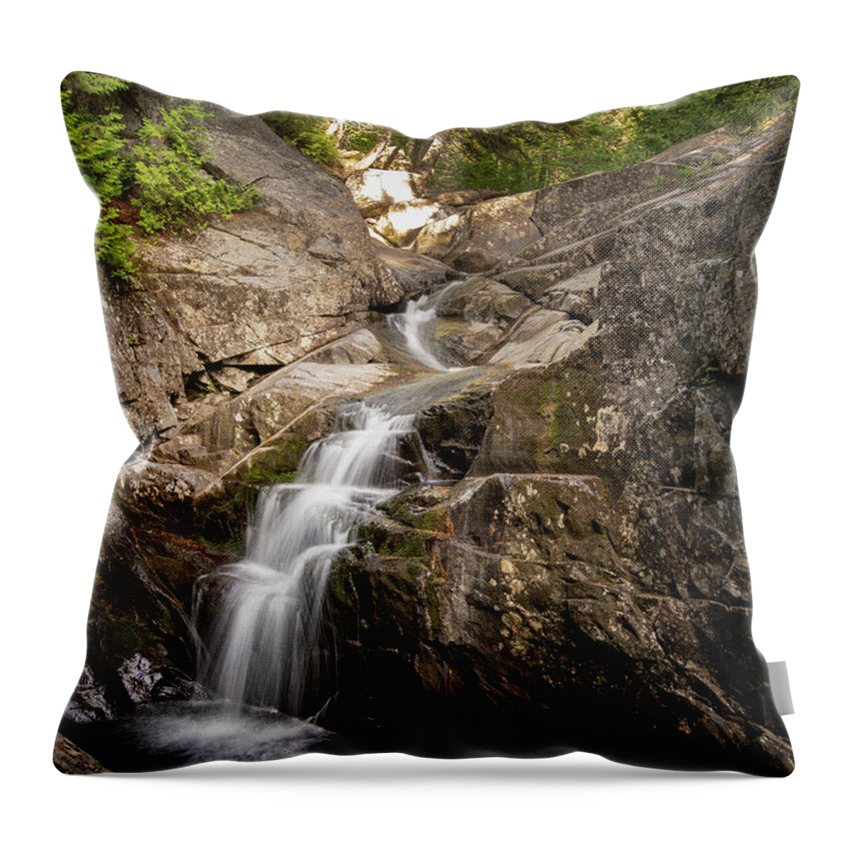 Bolders Throw Pillow featuring the photograph Cascade Stream Gorge Trail 5 by Dimitry Papkov