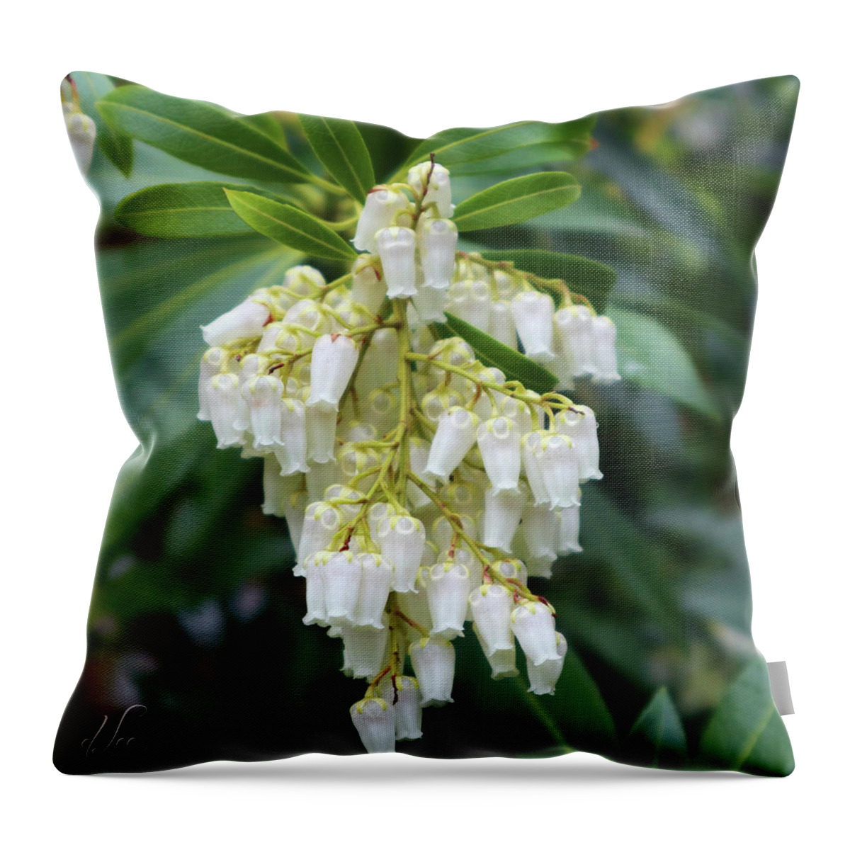 Nature Throw Pillow featuring the photograph Cascading Lily of the Valley 1 by D Lee