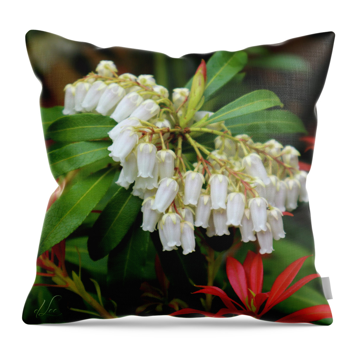 Nature Throw Pillow featuring the photograph Cascading Lily of the Valley 2 by D Lee