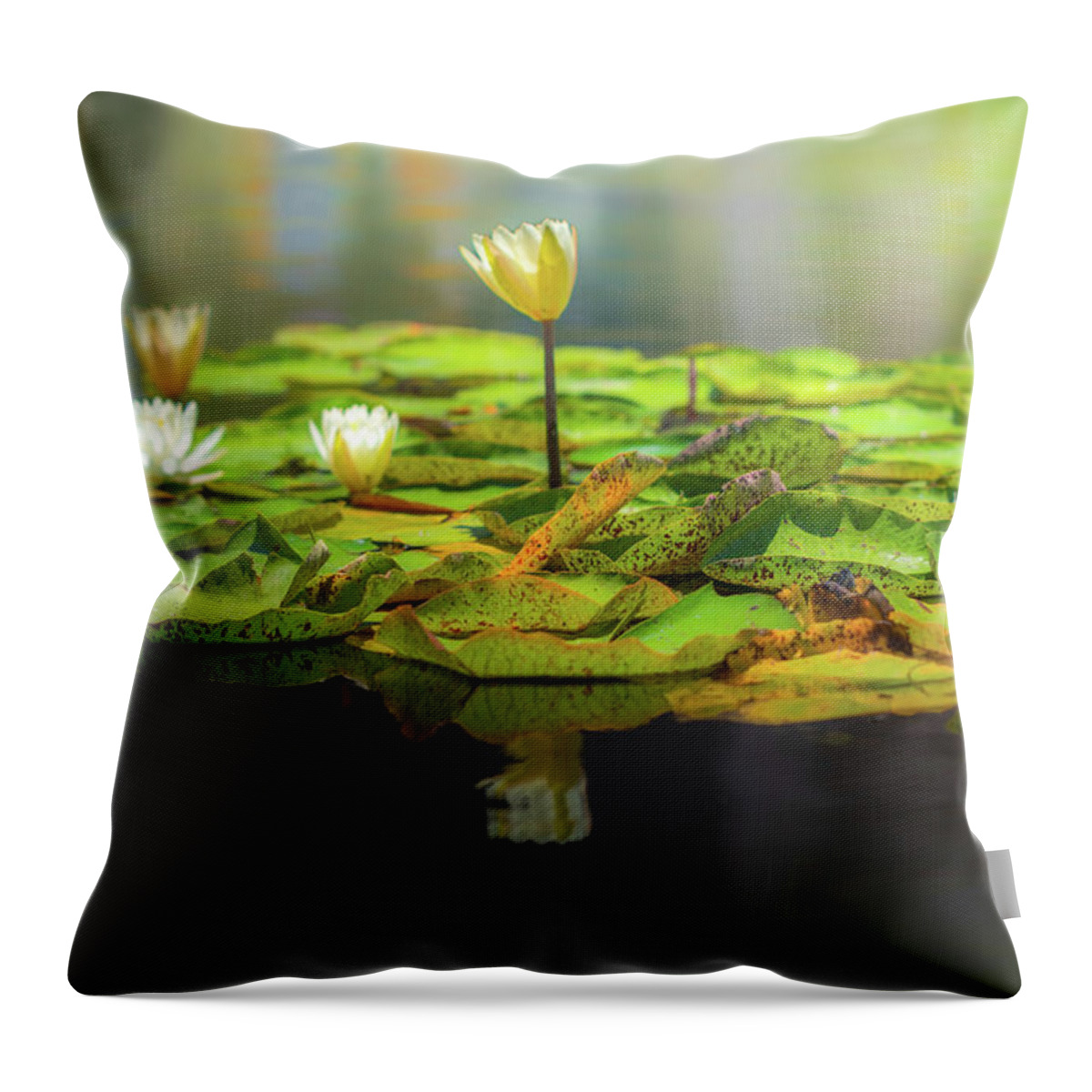 Balboa Park Throw Pillow featuring the photograph Castaways 3 by Ryan Weddle