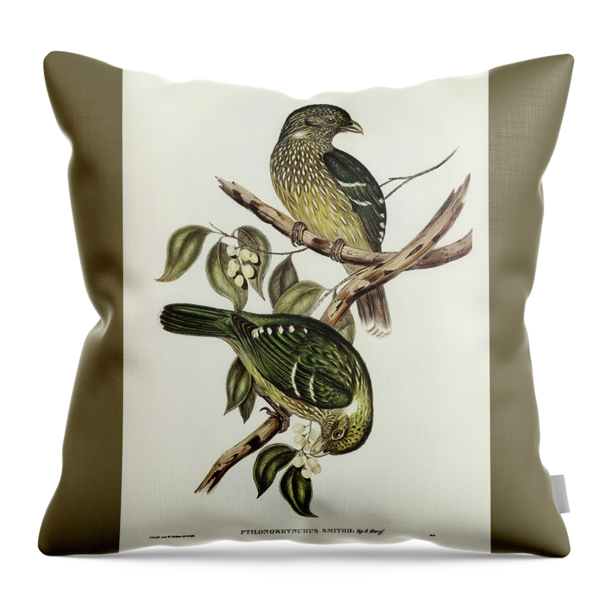 Cat Bird Throw Pillow featuring the mixed media Cat Bird by World Art Collective