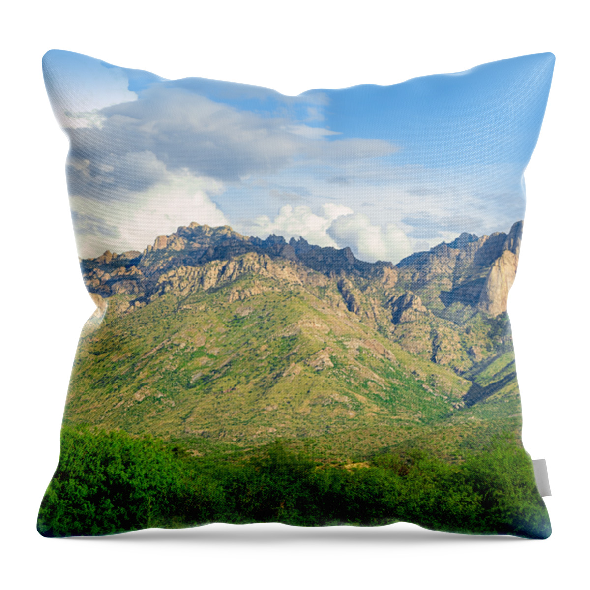 Arizona Throw Pillow featuring the photograph Catalina Mountains P24861-L by Mark Myhaver