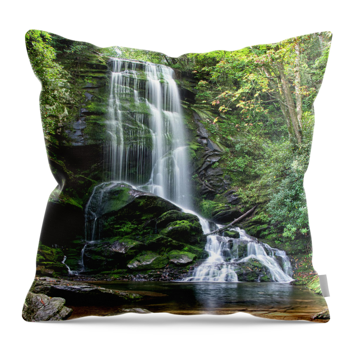 Catawba Falls Throw Pillow featuring the photograph Catawba Falls 14 by Phil Perkins