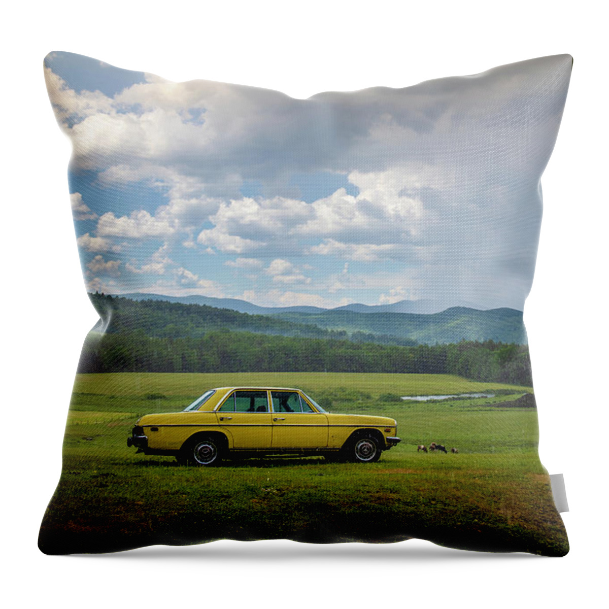 Field Throw Pillow featuring the photograph Caught in a Storm Vermont by Edward Fielding