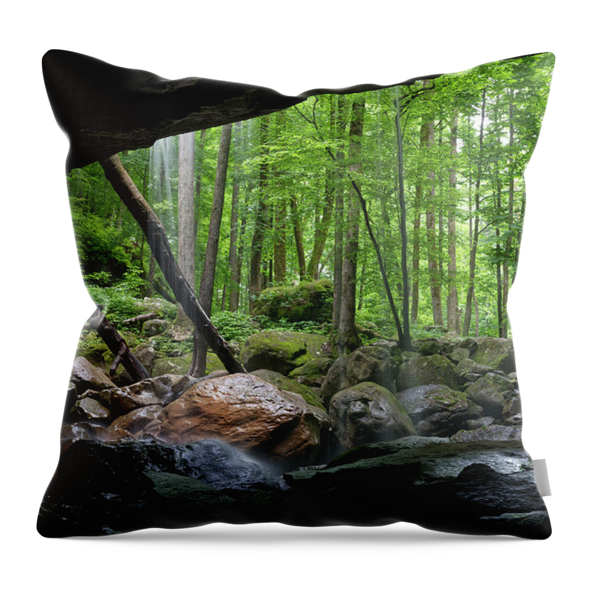 Big Laurel Falls Throw Pillow featuring the photograph Cave Behind Waterfall 2 by Phil Perkins