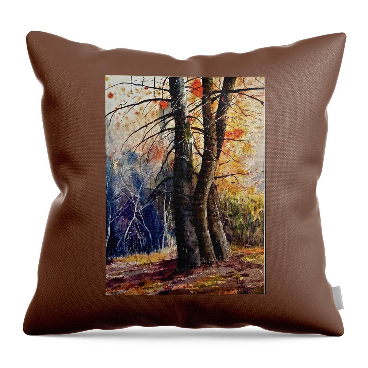 Cave Creek Canyon Throw Pillow featuring the painting Cave Creek Canyon by John Glass