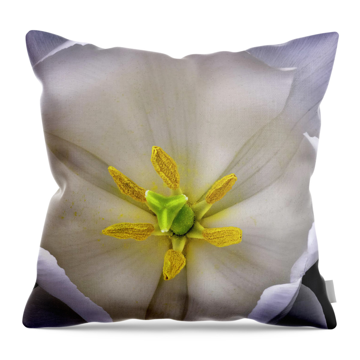 White Tulip Throw Pillow featuring the photograph Center Of A Tulip by Endre Balogh