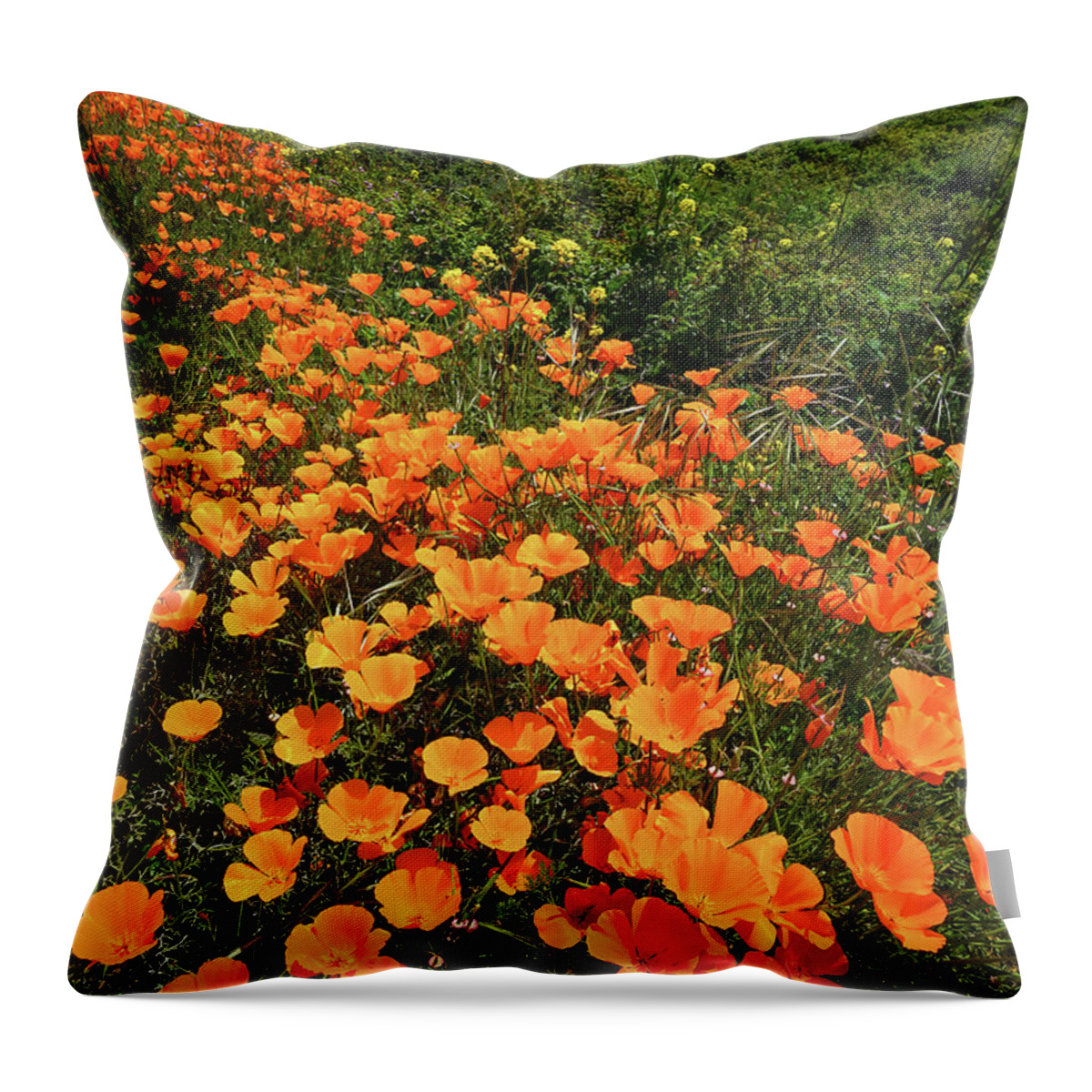 Poppies Throw Pillow featuring the photograph Central Coast Poppies by Brett Harvey