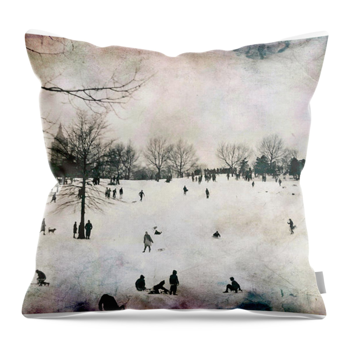 Central Park Throw Pillow featuring the photograph Central Park Winter /47 by Russel Considine