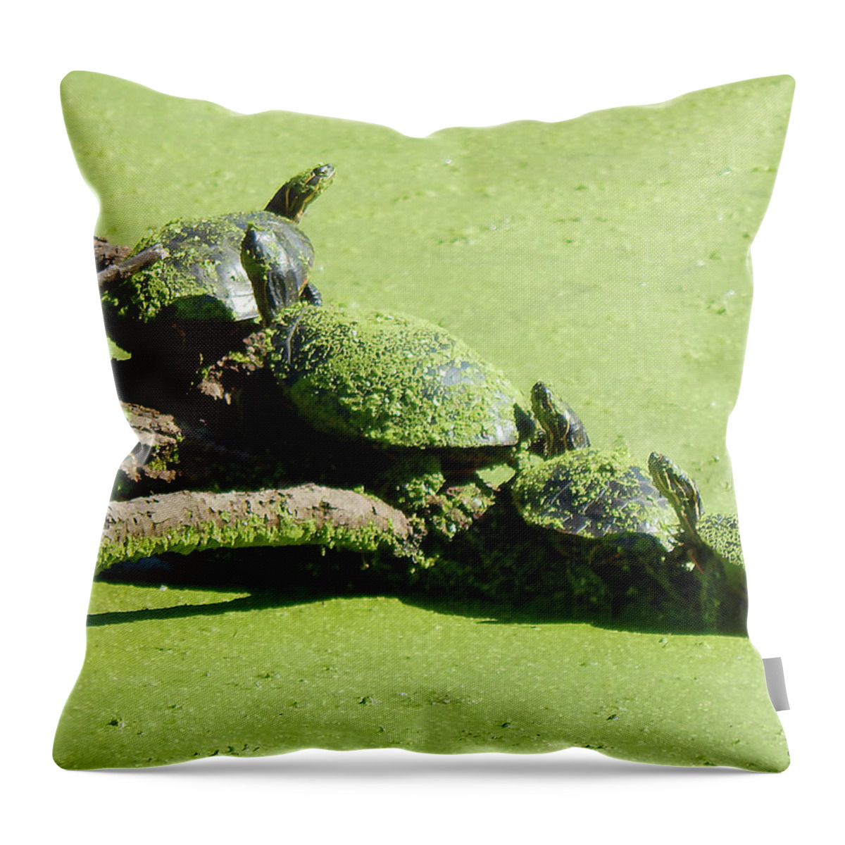 Painted Turtle Throw Pillow featuring the photograph Chain Sunning by Wild Thing