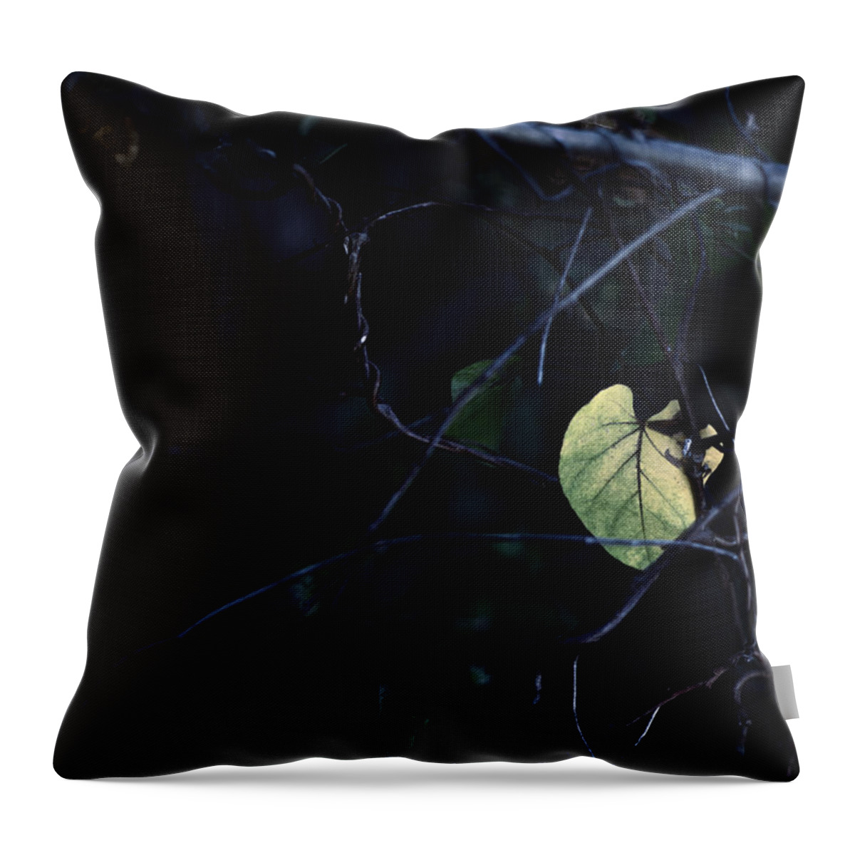 Nature Art Throw Pillow featuring the photograph Chained and Bound by Gian Smith