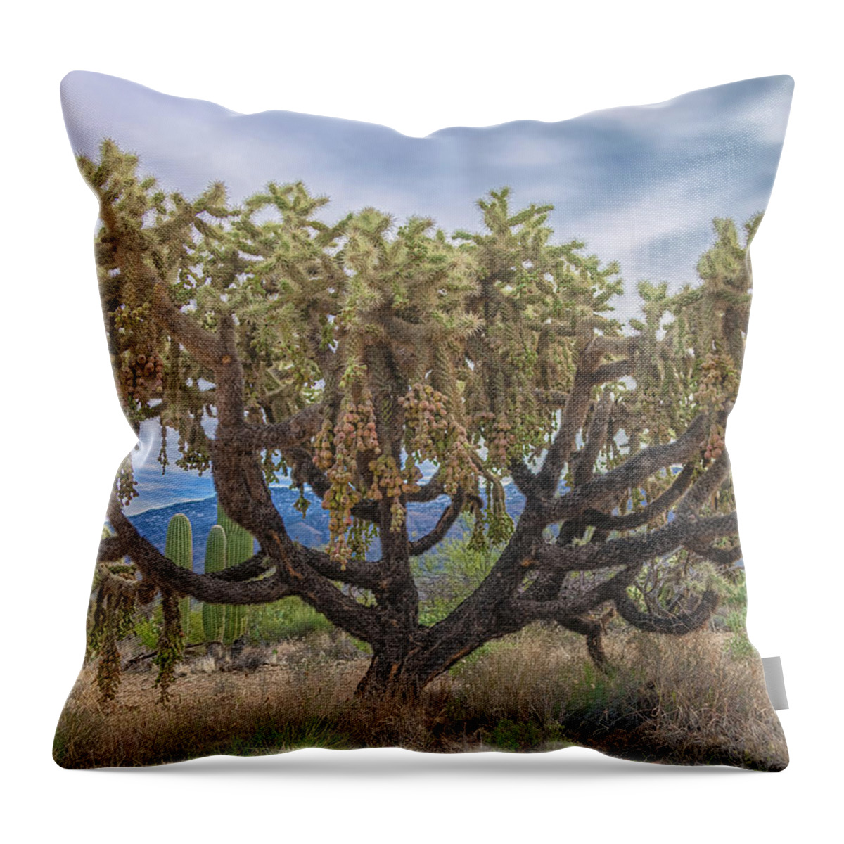 Chain-fruit Cholla Throw Pillow featuring the photograph Chained-fruit Cholla by Jonathan Nguyen